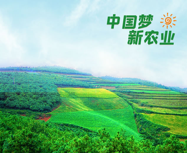 走進盛農(nóng) 走進盛農(nóng)